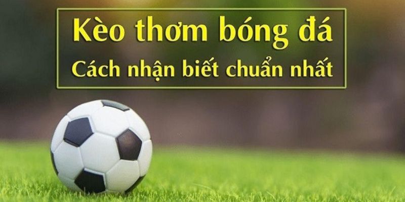 Cách soi kèo thơm thông qua tỷ lệ tại nhà cái