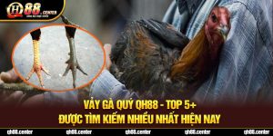 Vảy Gà Quý QH88 | Top 5+ Được Tìm Kiếm Nhiều Nhất Hiện Nay